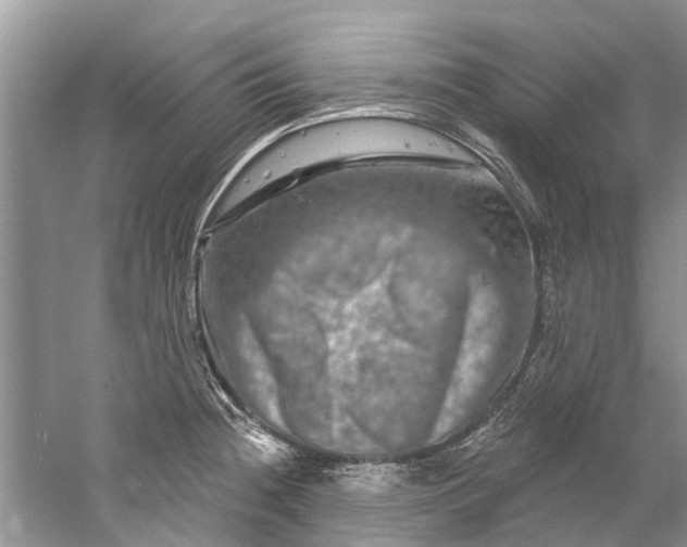 X0000061151236200512022306