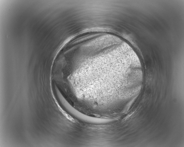 X0000061151237200512022306