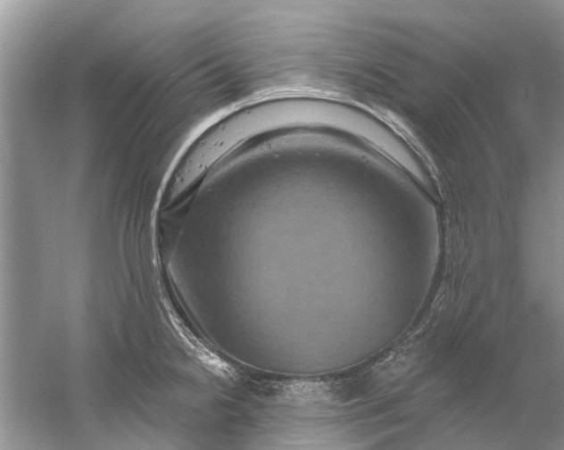 X0000061151238200512022306