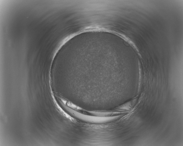 X0000061151239200512022306