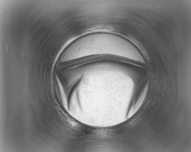 X0000061151240200512022306