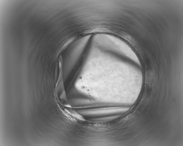 X0000061151241200512022306