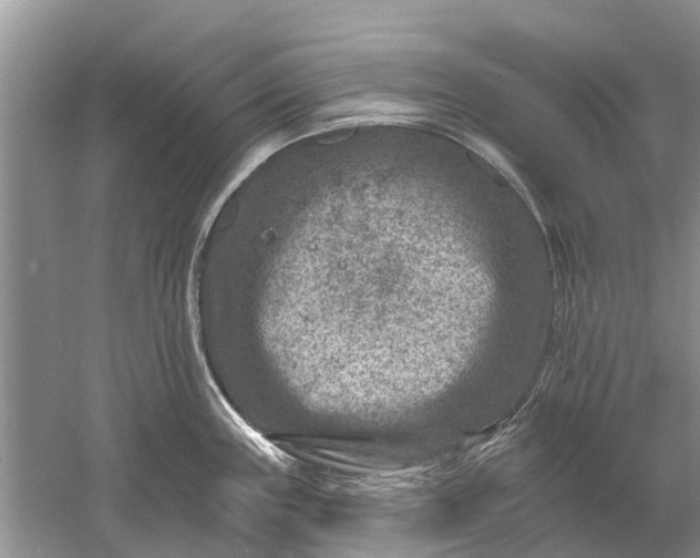 X0000061151243200512022306