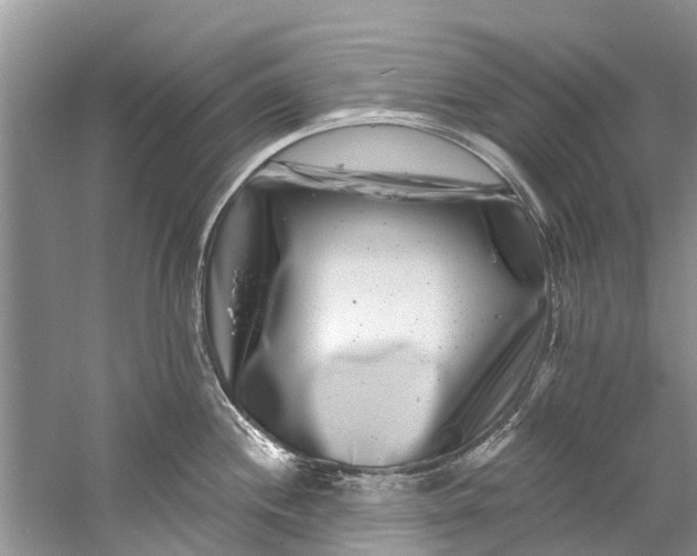 X0000061151244200512022306