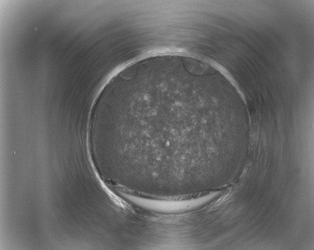 X0000061151245200512022306