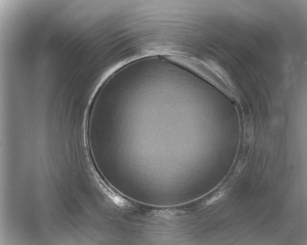 X0000061151246200512022306