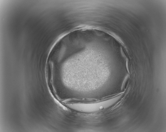 X0000061151247200512022306