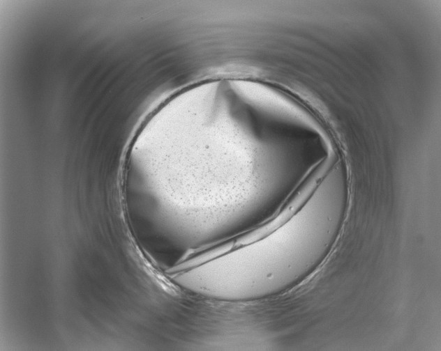 X0000061151248200512022306