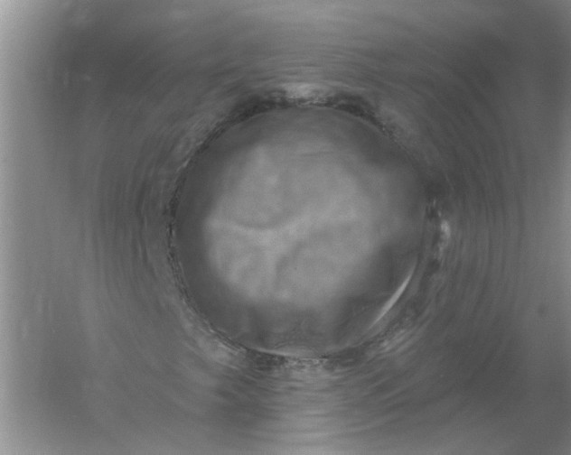 X0000061151249200512022305