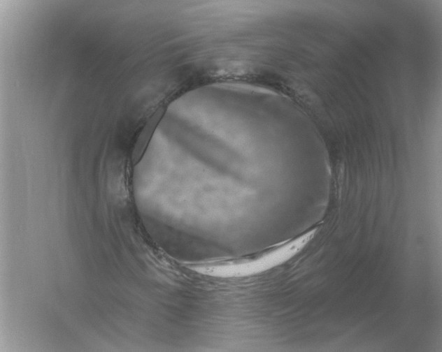 X0000061151250200512022305