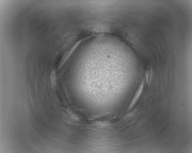 X0000061151251200512022305