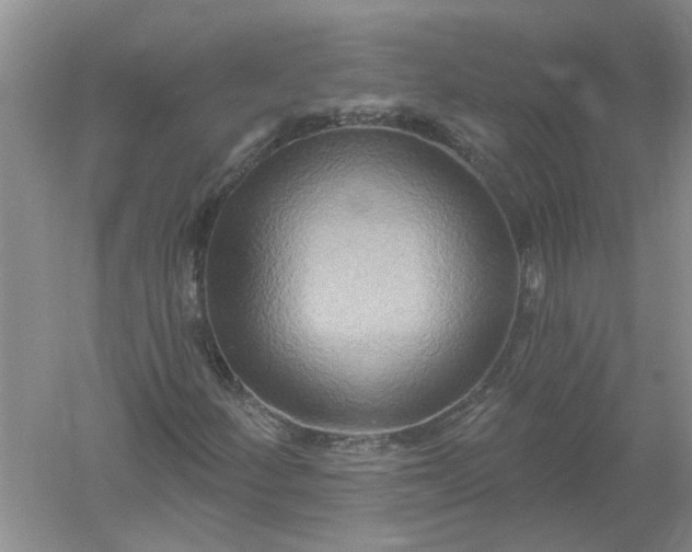 X0000061151252200512022305