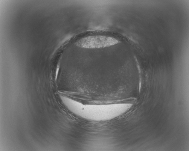 X0000061151254200512022305