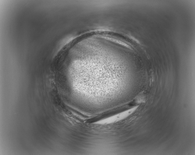 X0000061151255200512022305