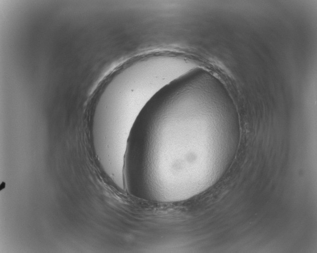 X0000061151256200512022305