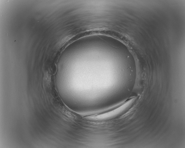 X0000061151257200512022305