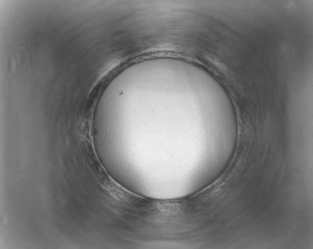 X0000061151258200512022305