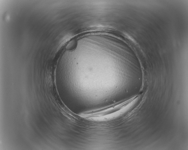 X0000061151259200512022305