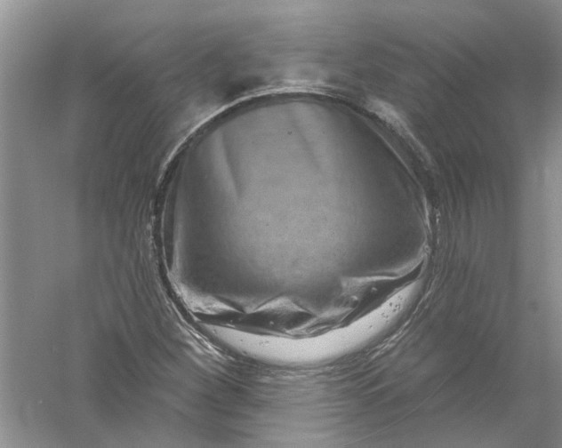 X0000061151260200512022305