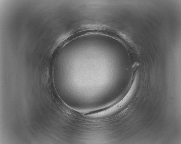 X0000061151261200512022305