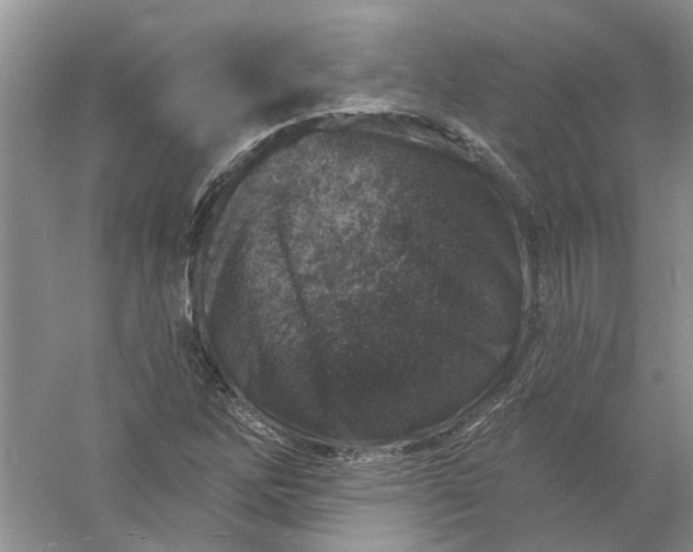 X0000061151262200512022305