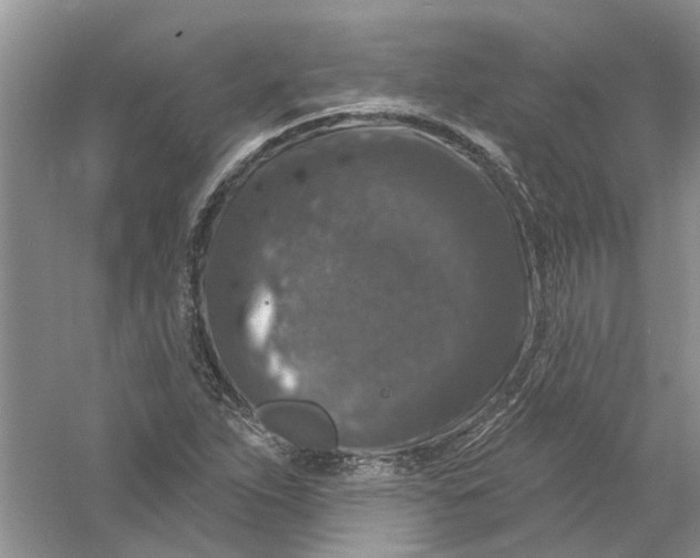 X0000061151263200512022305