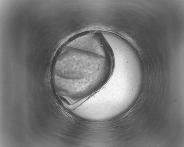 X0000061151264200512022305