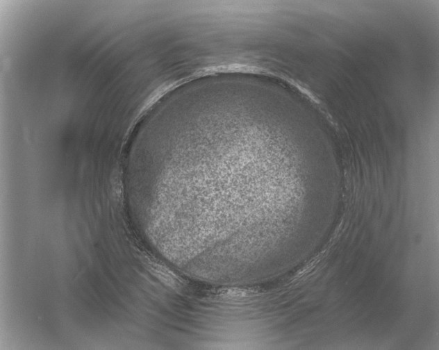 X0000061151266200512022305