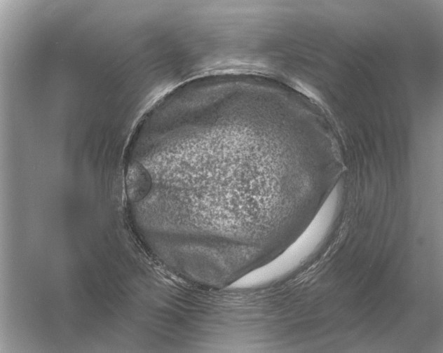 X0000061151267200512022305