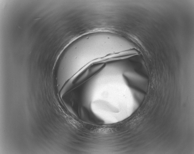 X0000061151268200512022305