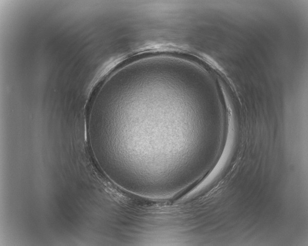 X0000061151269200512022305