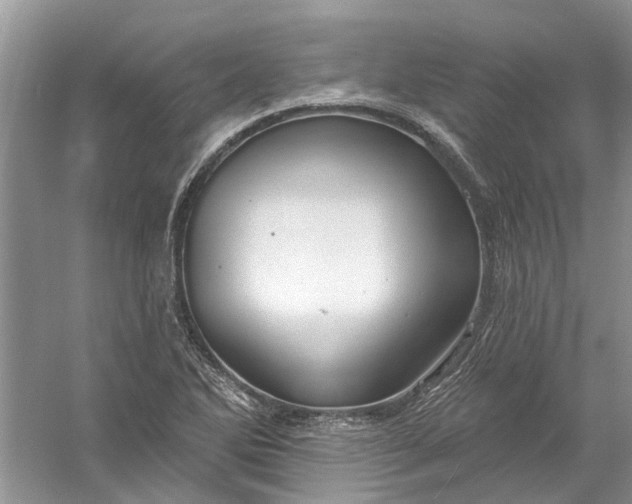 X0000061151270200512022305