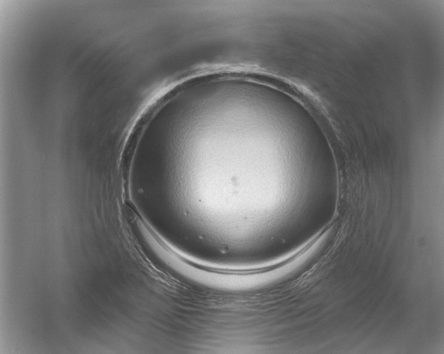 X0000061151271200512022305