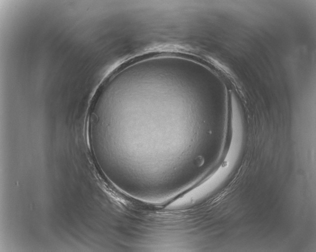 X0000061151272200512022304