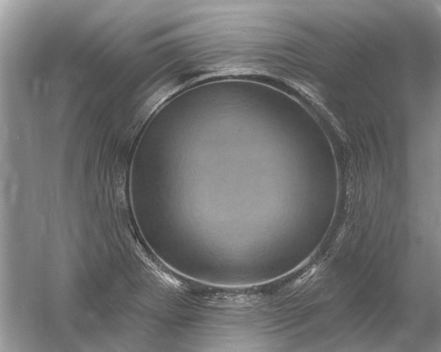 X0000061151273200512022304