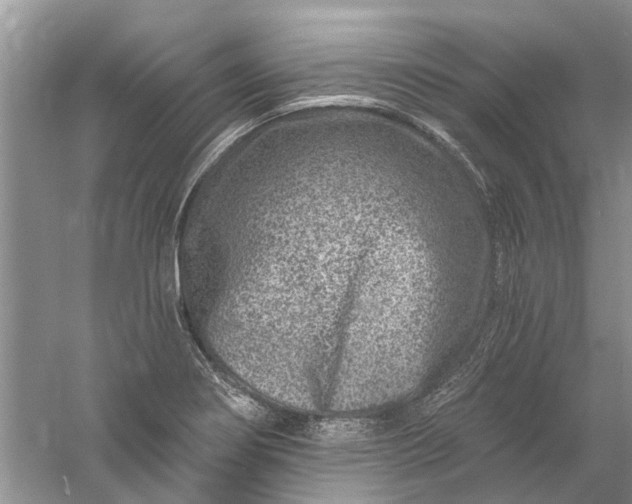 X0000061151274200512022304