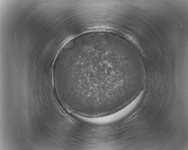 X0000061151275200512022304