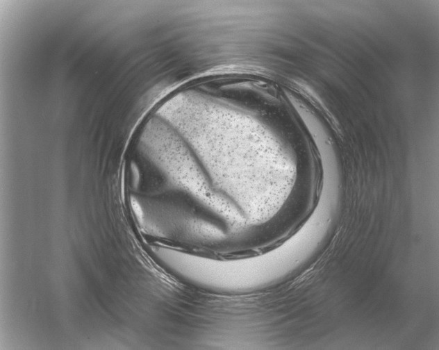 X0000061151276200512022304