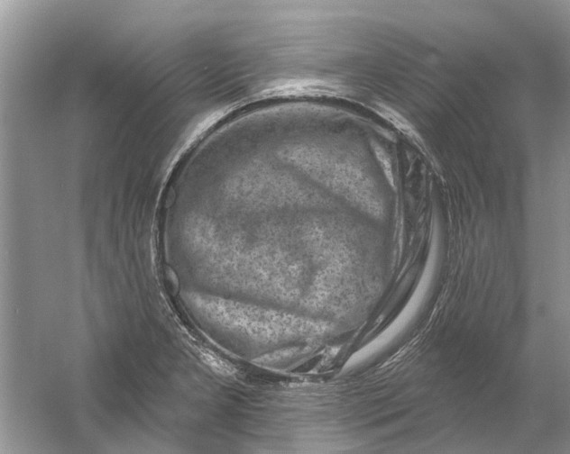 X0000061151277200512022304