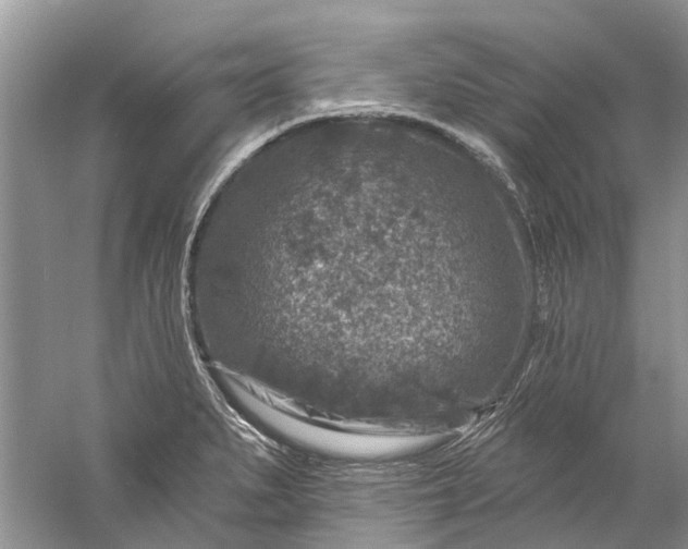 X0000061151279200512022304