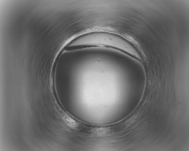 X0000061151280200512022304