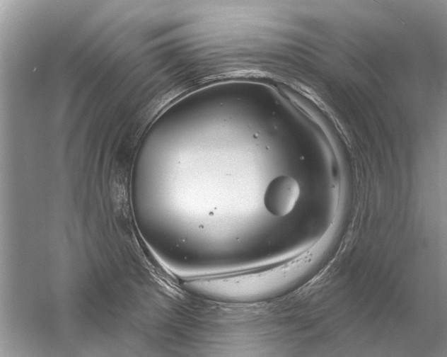 X0000061151281200512022304