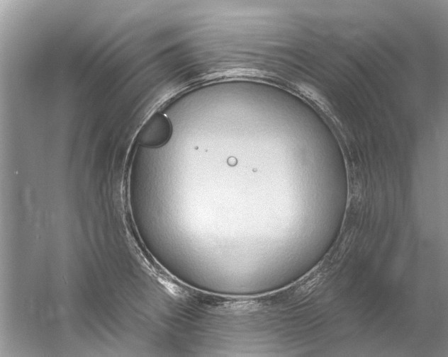 X0000061151282200512022304