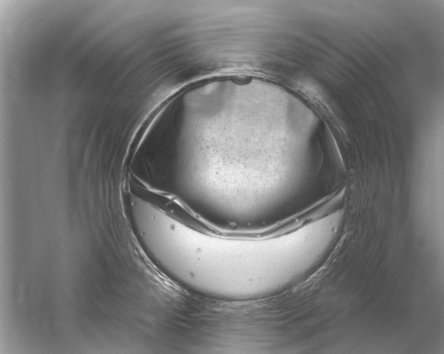 X0000061151284200512022304