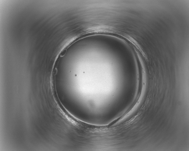 X0000061151285200512022304