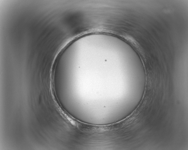 X0000061151286200512022304