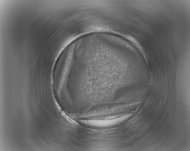 X0000061151287200512022304