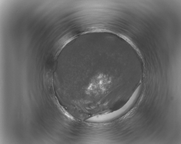 X0000061151289200512022304