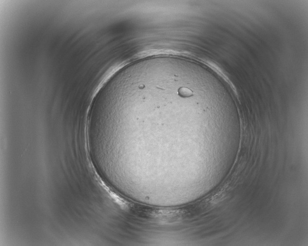 X0000061151290200512022304