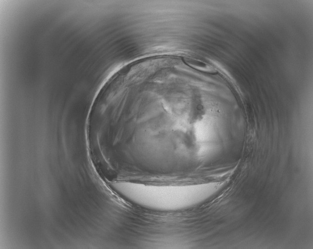 X0000061151291200512022304